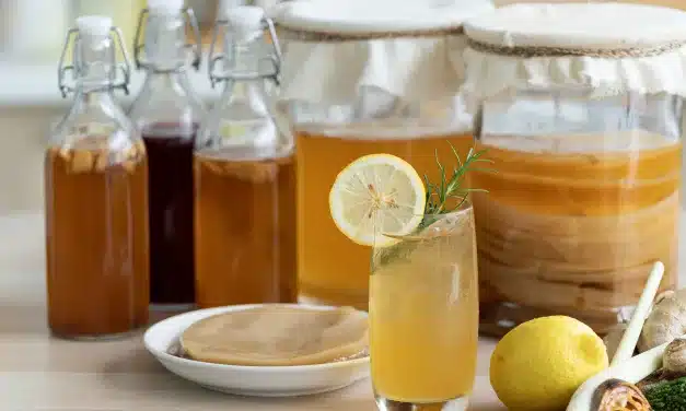 Kombucha: Perigo ou Benefício para a Saúde?