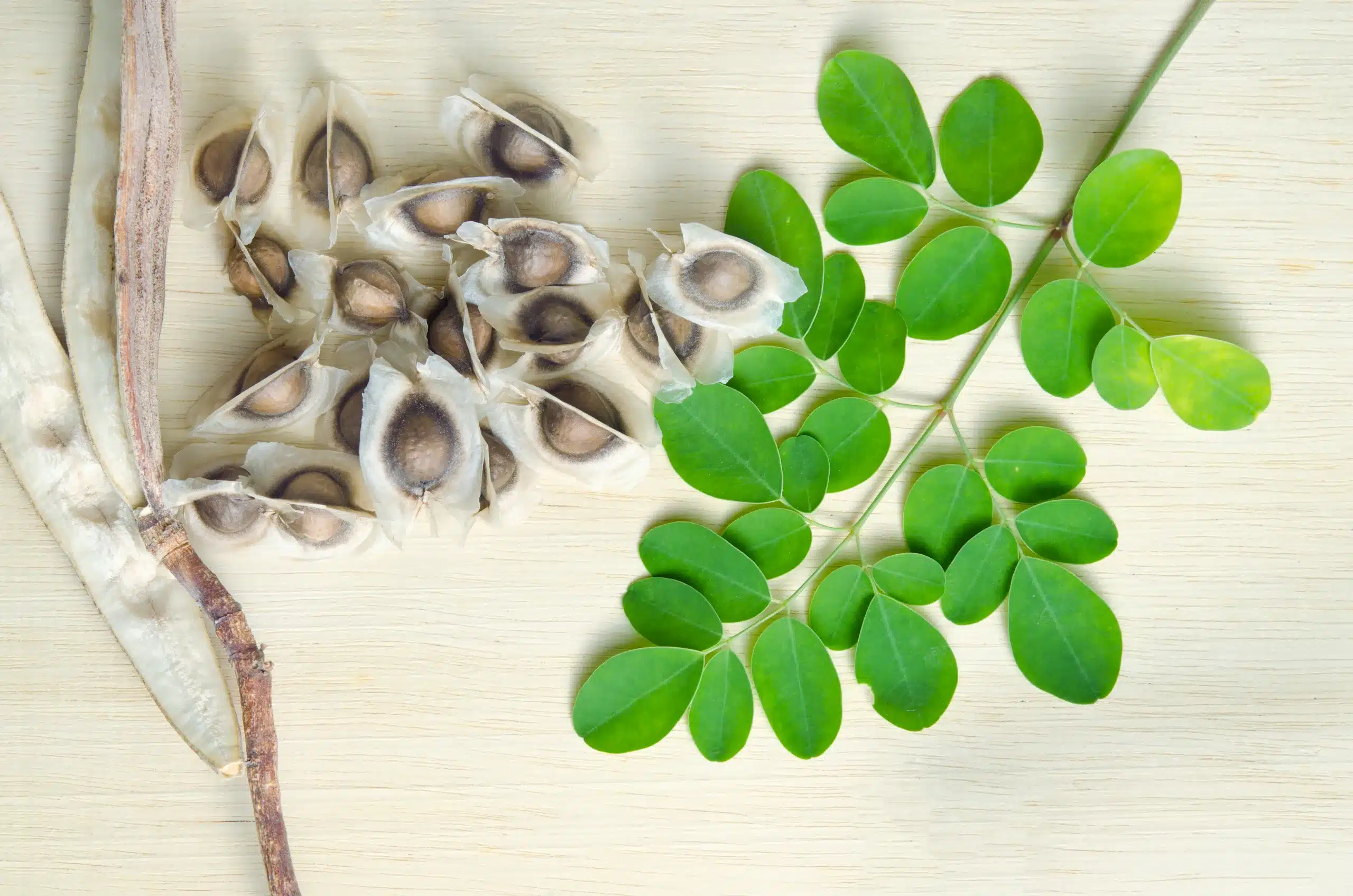 Moringa