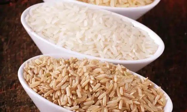 Arroz Integral: Desvendando seus Inúmeros Benefícios