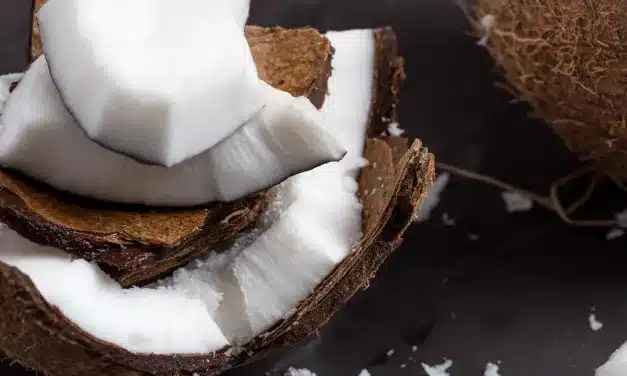 Dica de Lanche Nutritivo para o Dia a Dia: Lascas de Coco