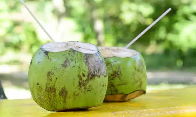Água de Coco: Uma Bebida Refrescante e Nutritiva