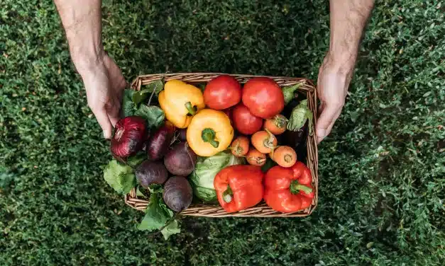 Formas Simples de Ter Legumes e Verduras Sempre à Mão