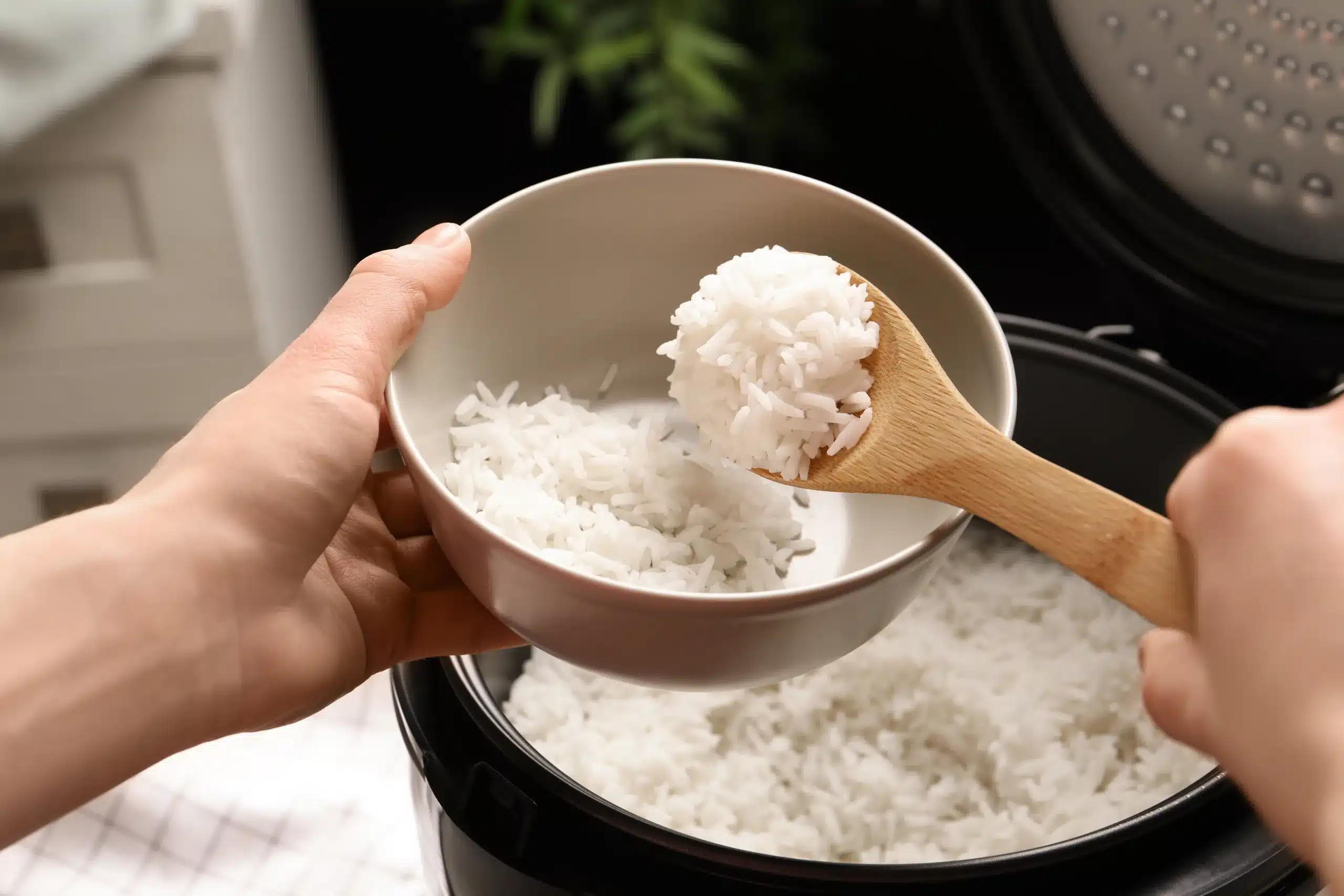 Reaquecer Arroz