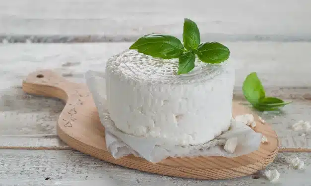 Queijo Fresco: Opção de Baixa Caloria para Saborear sem Culpa!