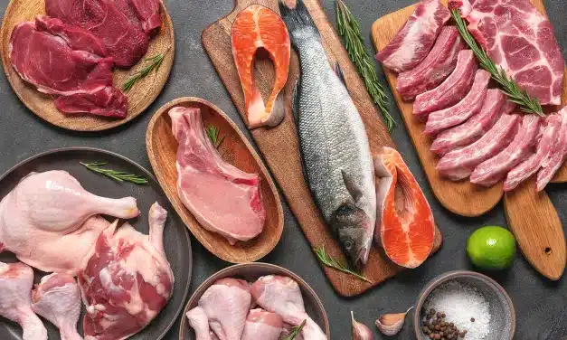 Suplementação natural: alimentos que são ricos em creatina