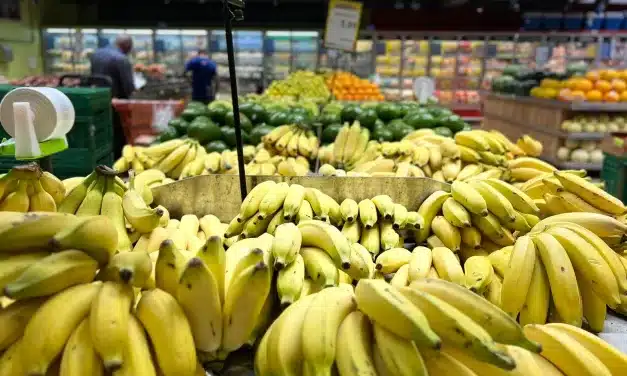 Dicas de alimentação leve no verão