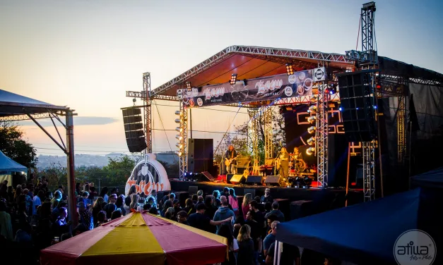 Brew Festival celebra nove anos com edição especial em Valinhos