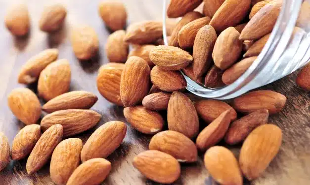 Amêndoas: Um Alimento Rico em Proteínas