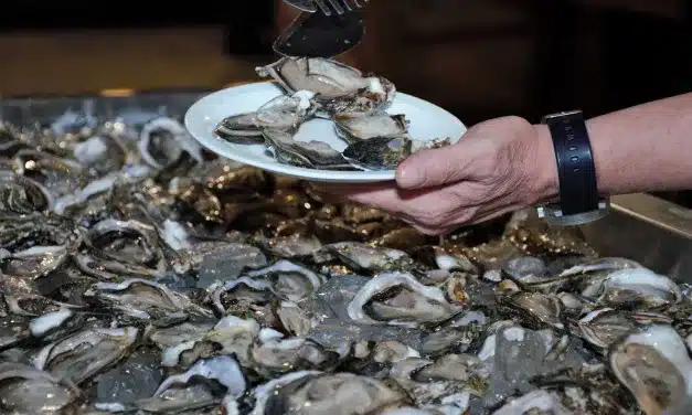 Ostras e mais descontos são novidades no Festival do Pescado