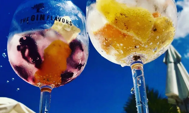 Drinks de Carnaval: conheça 3 receitas com gin para você curtir