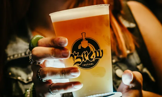 Brew Festival chega a Mogi Guaçu-SP com edição especial