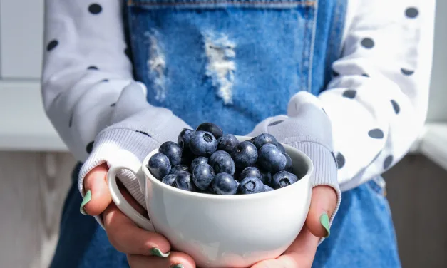 Ricos em Antioxidantes, Alimentos que Ajudam a Emagrecer