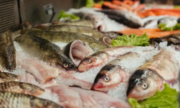 Qual peixe escolher para Sexta-Feira Santa? Veja opções