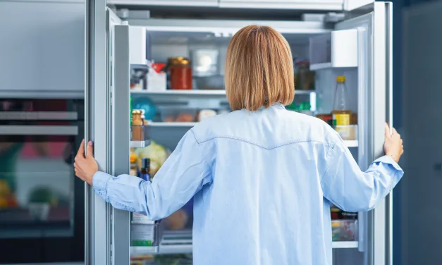 Freezer: Evite Desperdício e Má Conservação de Alimentos