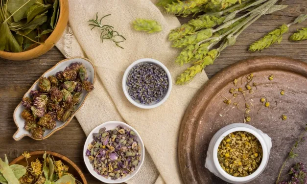 Ginecologista lista 6 plantas que ajudam na saúde reprodutiva