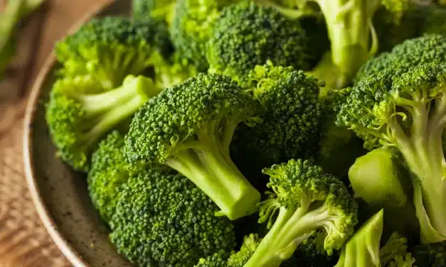 Alimentos para Queimar Gordura Rapidamente