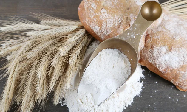 Farinha de trigo 100% integral: Benefícios para a saúde