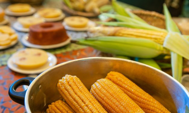 Festa do Milho é atração em Taubaté com entrada gratuita