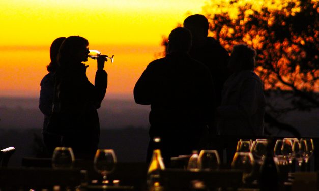 Vinícola entre vinhedos e cafezais encanta turistas ao pôr do sol