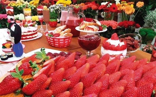Aniversário de São José dos Campos tem Festival de Flores & Morangos