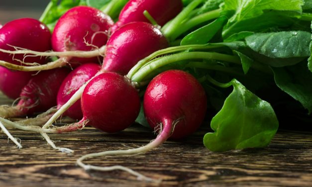 Rabanete: Mais que Apenas Salada