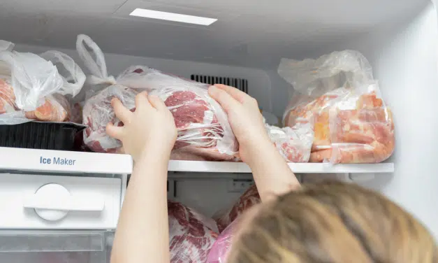 Quanto tempo a carne dura no freezer?