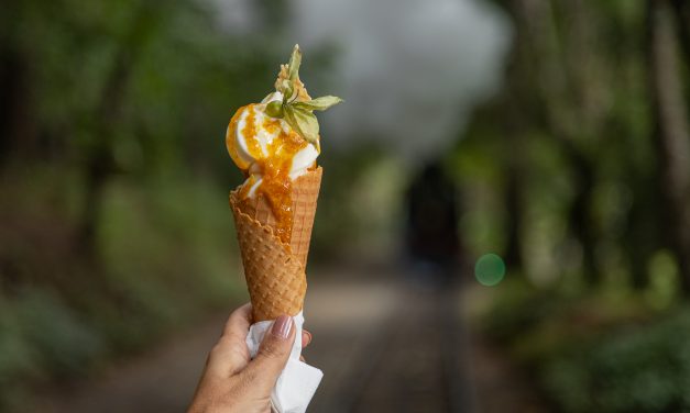 Sorvete artesanal de juá é a mais nova sensação da Casa Bambuí