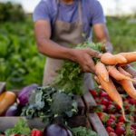 Terroir na gastronomia: o impacto do ambiente e da cultura nos sabores