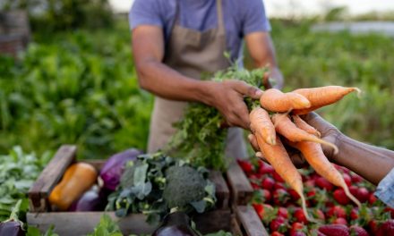 Terroir na gastronomia: o impacto do ambiente e da cultura nos sabores