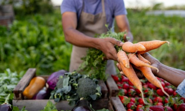 Terroir na gastronomia: o impacto do ambiente e da cultura nos sabores