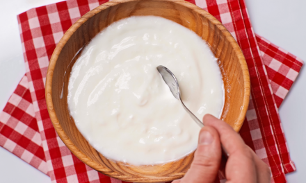 Iogurte cremoso: como deixar o seu perfeito!