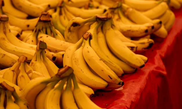 Dicas fáceis para a banana não estragar rápido