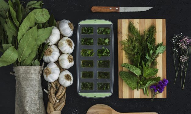 Confira seis tipos de temperos para trazer mais sabor à mesa