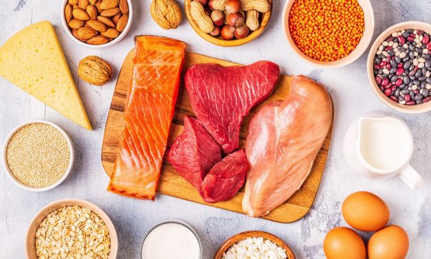 Você sabe o papel da proteína na alimentação?