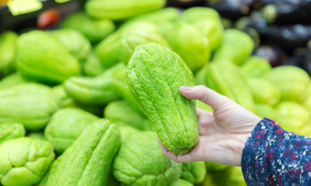 Chuchu: versátil, saudável e perfeito para receitas criativas