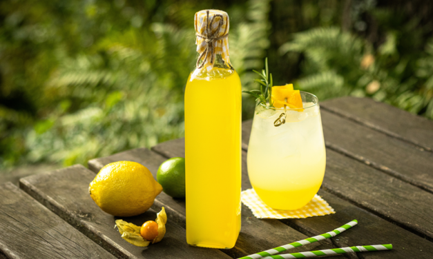 Amazonia Fizz: refrescante com água com gás e limão