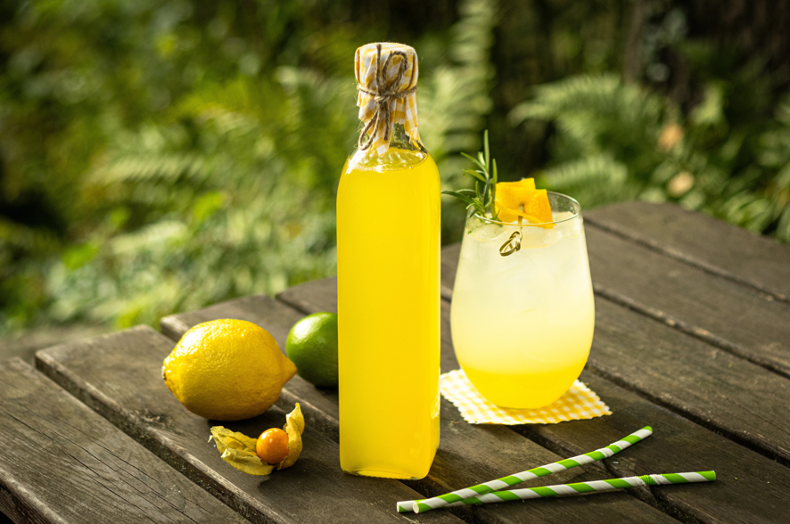 Amazonia Fizz
