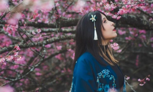 Espetáculo da natureza: Florada das sakuras transforma Campos do Jordão em cenário cor-de-rosa durante o inverno