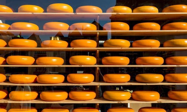 O Que Comer em Holambra: Guia da Cidade das Flores e Sabores Holandeses